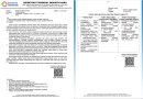 Import Promotion Desk ( IPD )